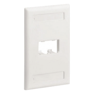 Placa de Pared Vertical / 2 Puertos Mini-Com / Diseño Inclinado / Con Espacios para Etiquetas / 2.75 x 4.5 pulgadas / Blanco
