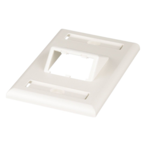 Placa de Pared Vertical / 2 Puertos Mini-Com Inclinados / ABS / Blanco Mate / Con Etiquetas